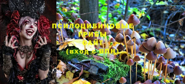 ГАЛЛЮЦИНОГЕННЫЕ ГРИБЫ Кинешма