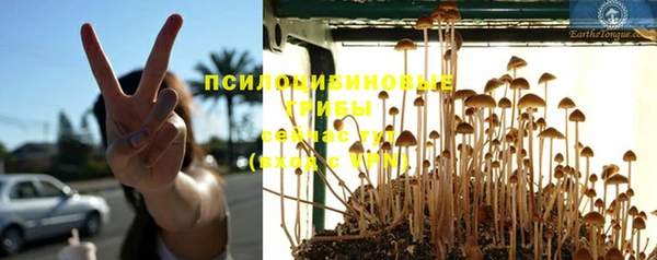 ГАЛЛЮЦИНОГЕННЫЕ ГРИБЫ Кинешма