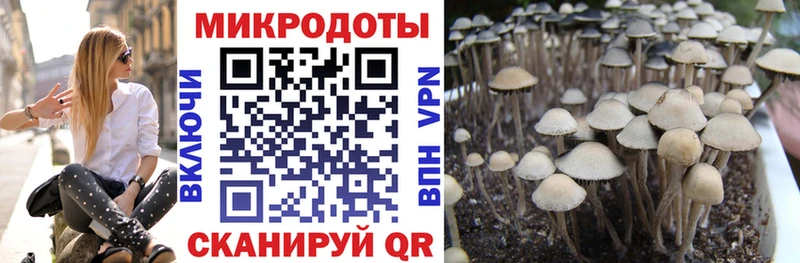 Галлюциногенные грибы GOLDEN TEACHER  Велиж 